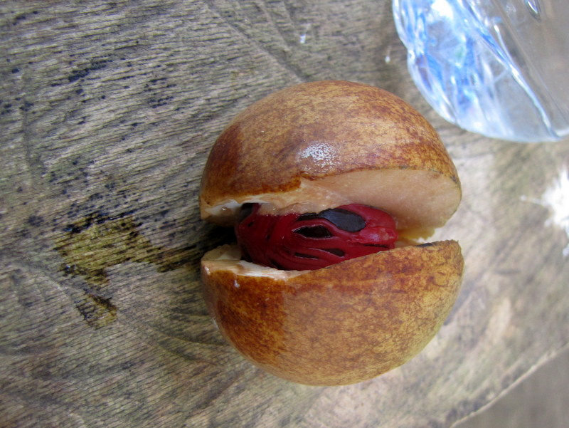 Thumbnail Photo
